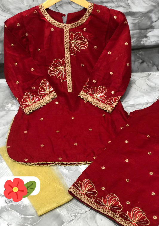 Girls Embroidered Suit