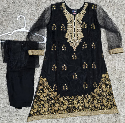 Girls Net Embroidered Suit