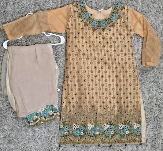 Girls Chiffon Embroidered Suit (6-7yrs)